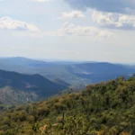 via algarviana