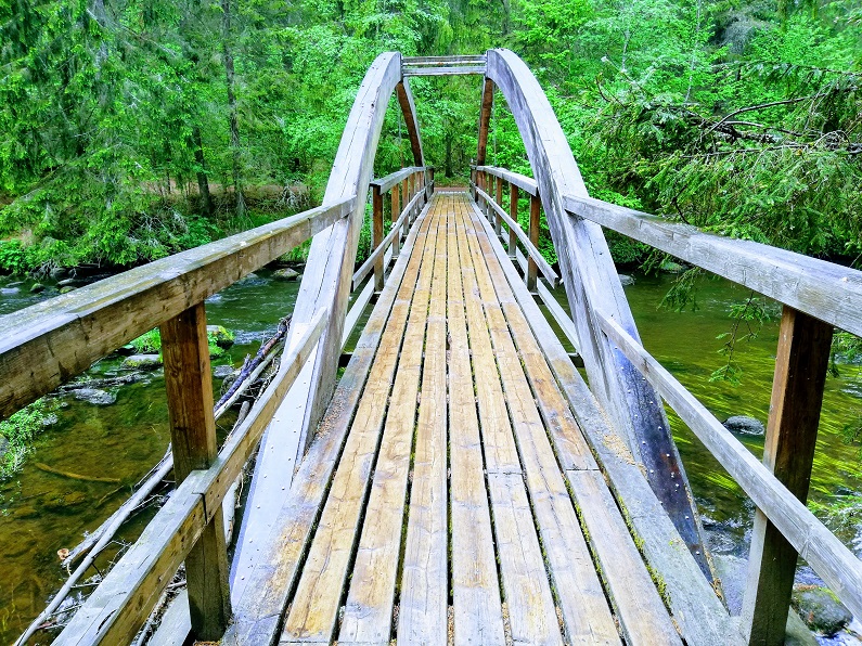 taesvaskoja ponte