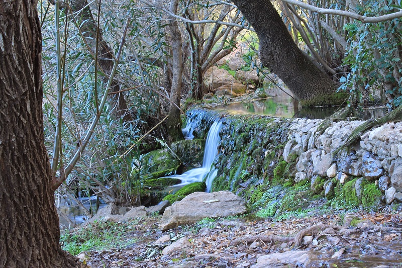 Fonte Benémola - Algarve