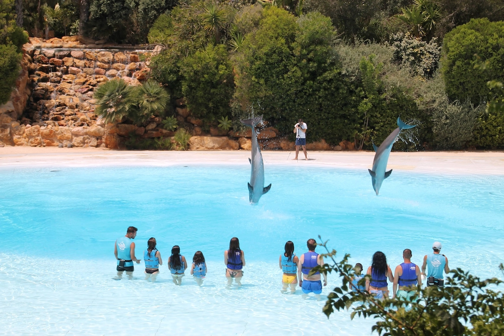 Parque aquático Zoomarine no Algarve